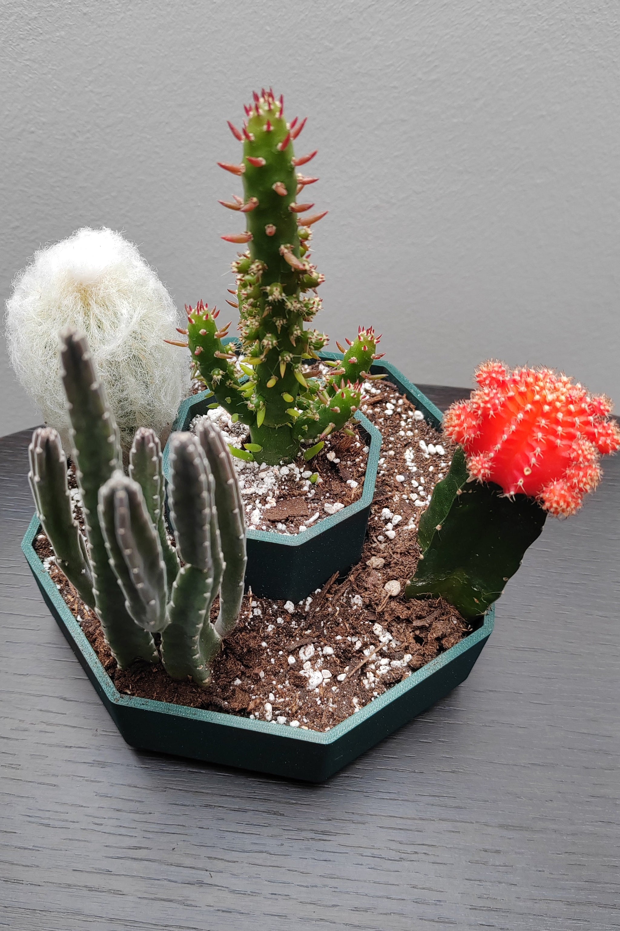 Octagonal Cactus Planter with Two Tiers