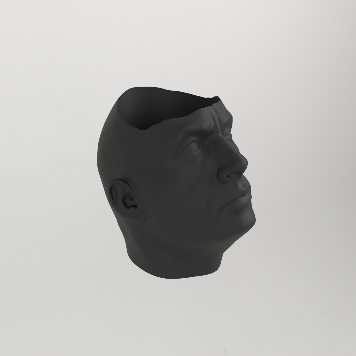 The Rock Dwayne Johnson Flower Pot Planter