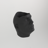 The Rock Dwayne Johnson Flower Pot Planter