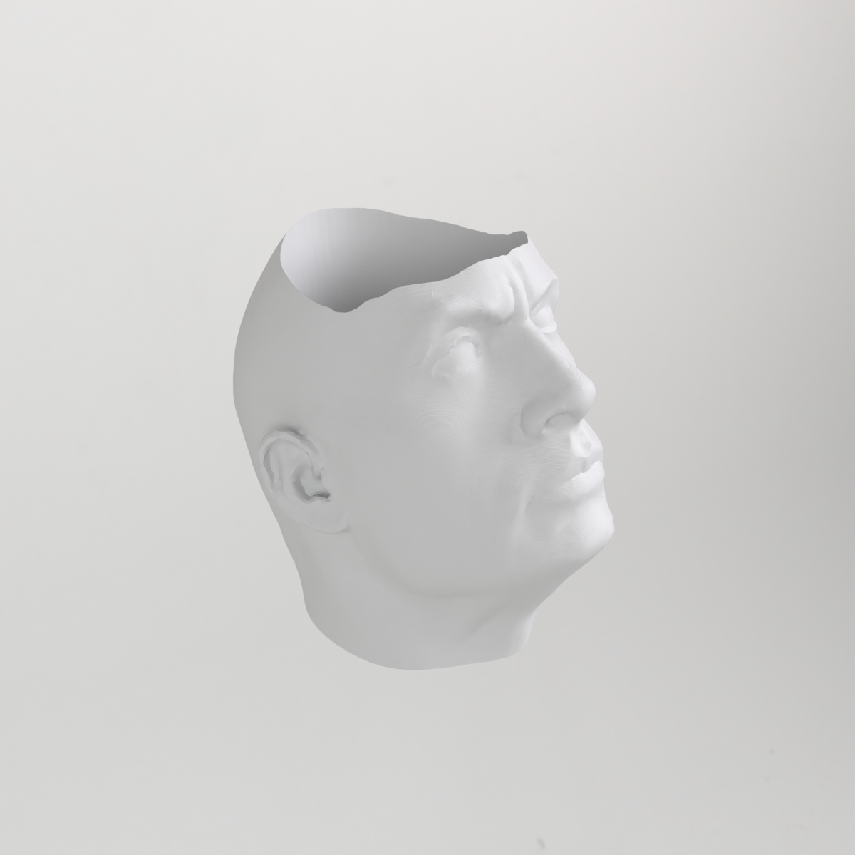 The Rock Dwayne Johnson Flower Pot Planter