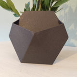 Close-up of minimalist stealth wall plant pot with succulent, side profile view
