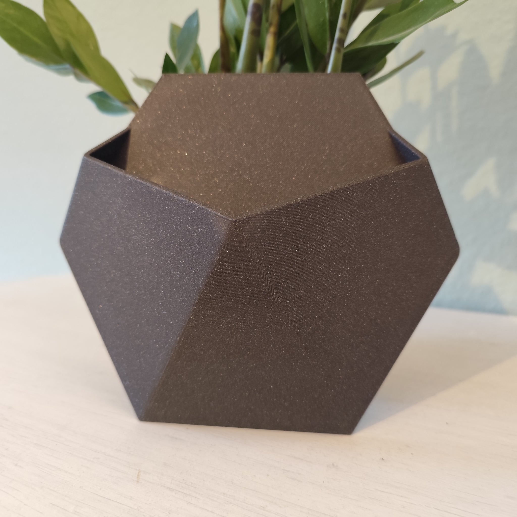 Close-up of minimalist stealth wall plant pot with succulent, side profile view