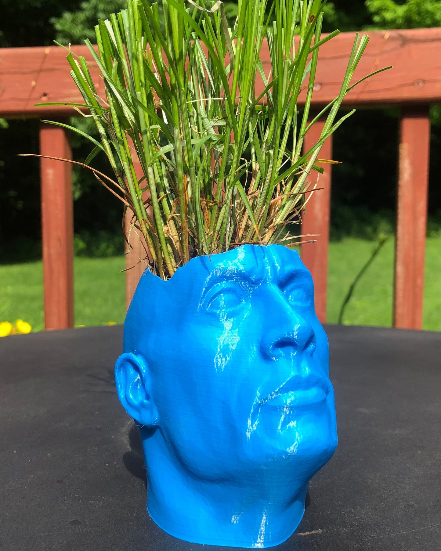 The Rock Dwayne Johnson Flower Pot Planter
