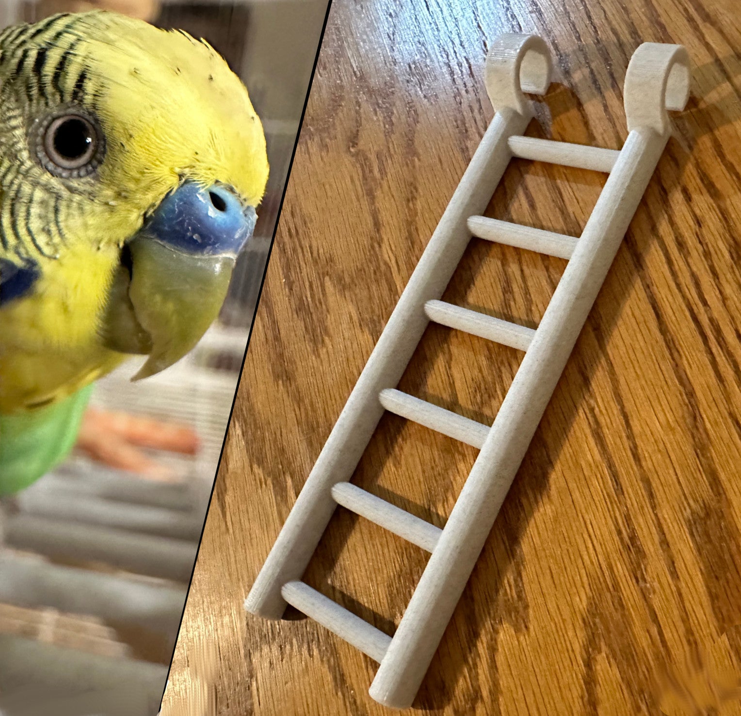Bird Cage Ladder for Parakeets & Budgies