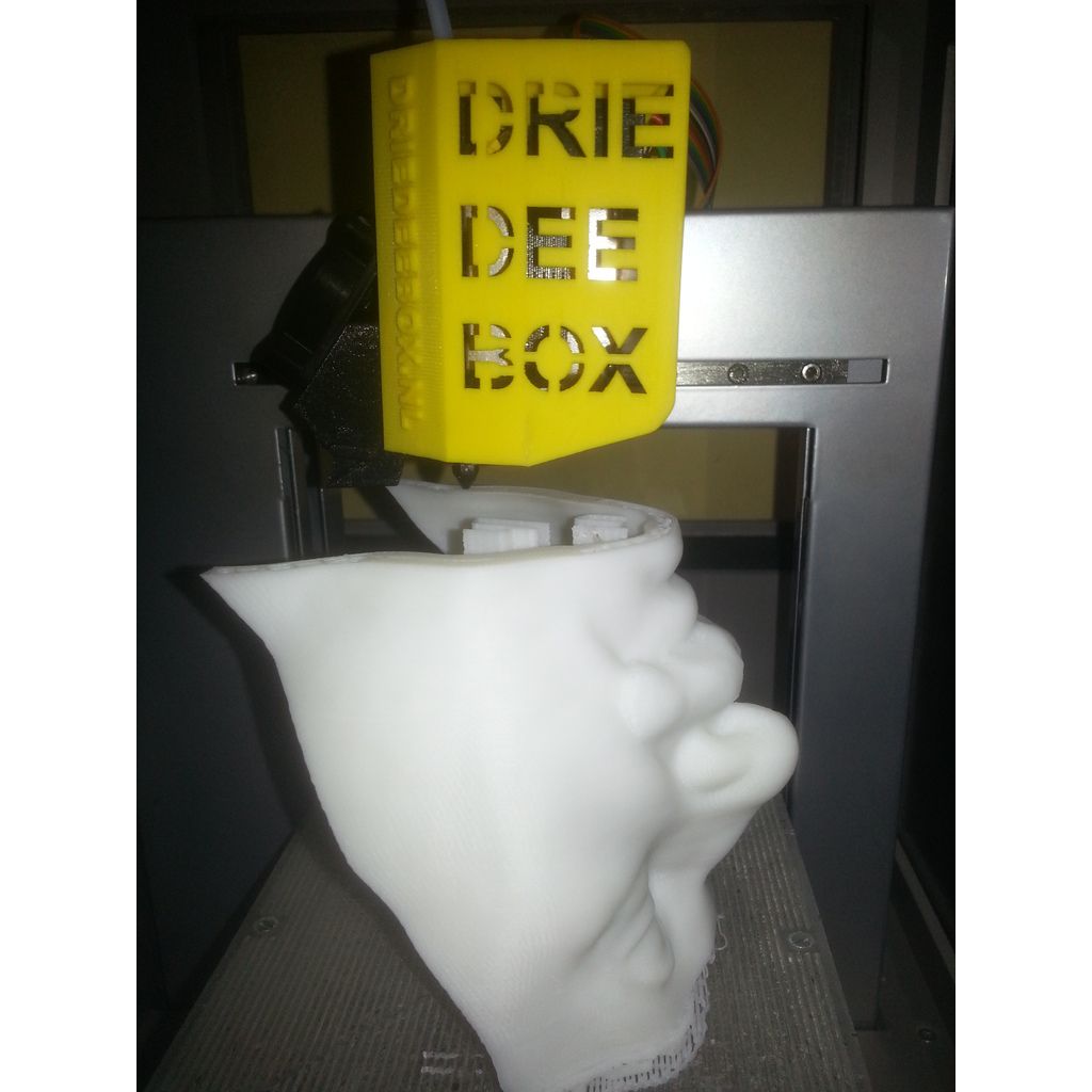 Albert Einstein Bust 3D Scan – 34 cm