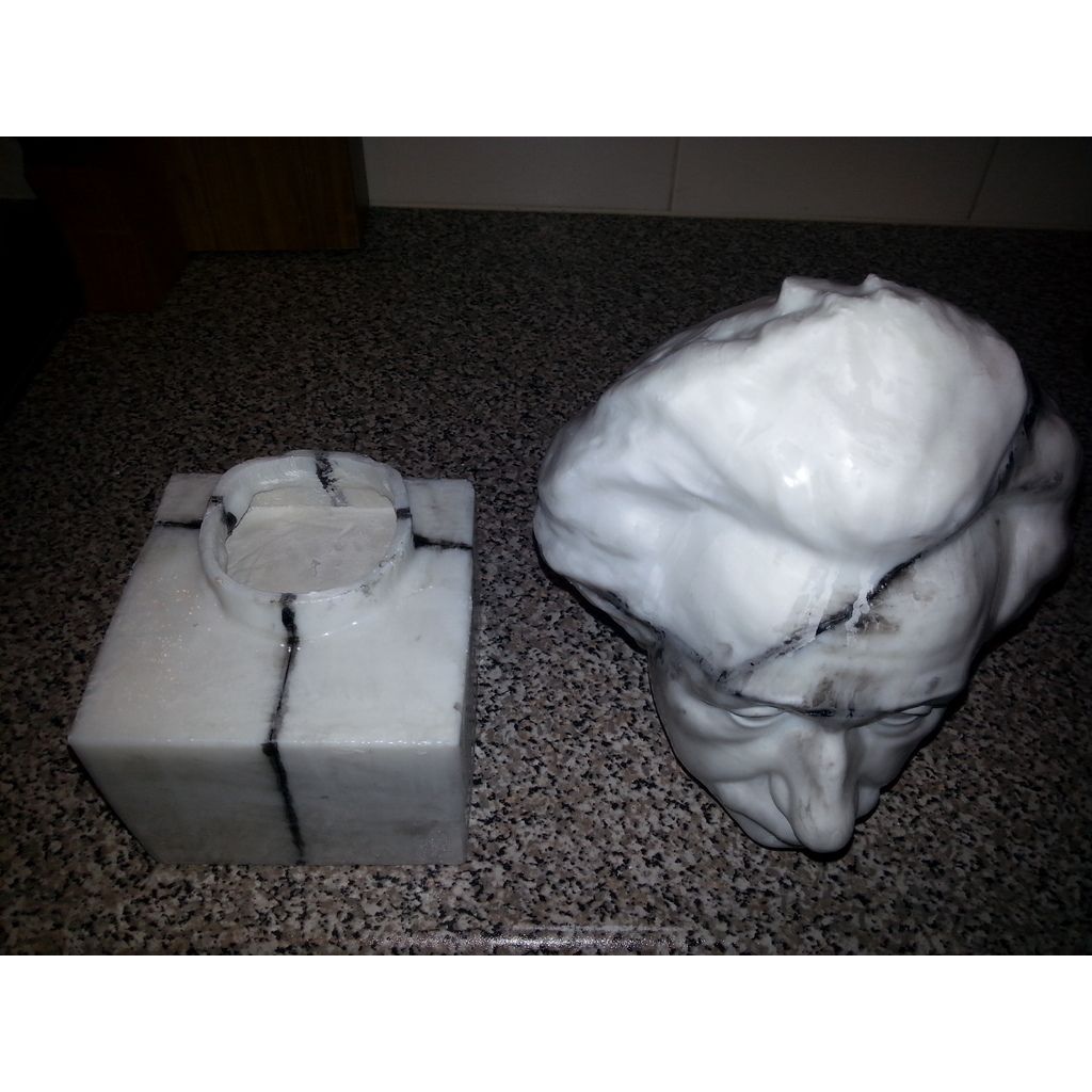 Albert Einstein Bust 3D Scan – 34 cm