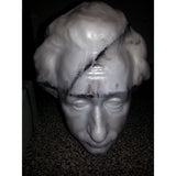 Albert Einstein Bust 3D Scan – 34 cm
